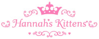 hannah's kittens